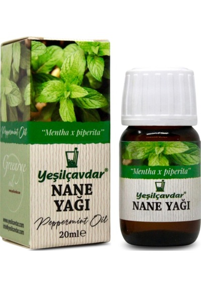 Yeşilçavdar Nane Yağı 20 Ml 20 G