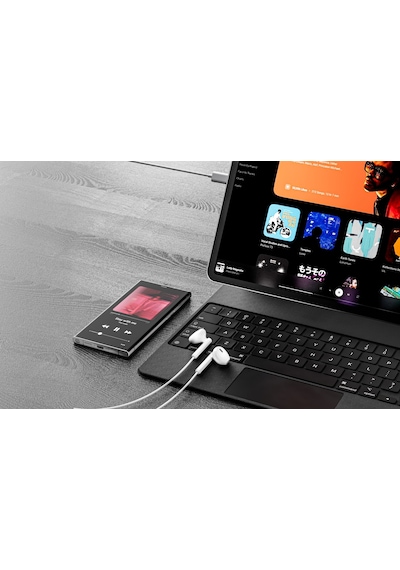 Ven-dens Vd-ear009 Premium Stereo Mikrofonlu Kulaklık - Siyah