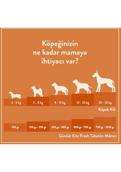 Kito Kuzu Etli Mini Irk Yetişkin Köpek Maması 2500 G + Kito Fresh Kuzu Etli Köpek Yemeği 6'lı