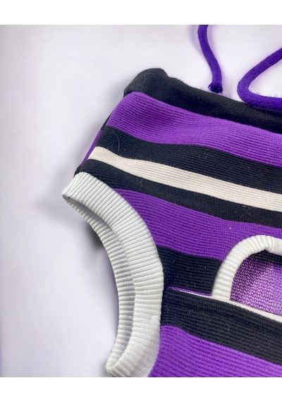 Kemique Modern Purp Kemique's Secret Köpek İç Çamaşırı Regl Külot