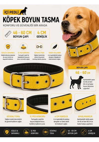 Köpek Boyun Tasması İçi Pedli 46-60 Cm 4 Cm Geniş Ayarlanabilir Metal Tokalı - Sarı Çok Renkli