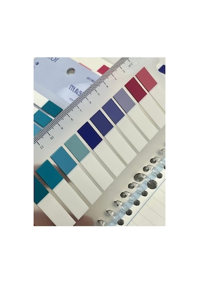 Renkli Cetvelli Şeffaf Pet İndeks Sticker, 10 Adet Set Halinde