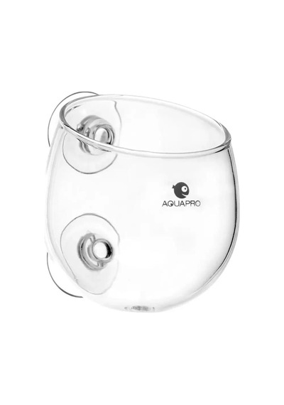 Aquapro Glass Plant Pot Cam Bitki Saksısı