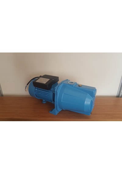 Wepomp Jet100 Jet Pompa 1 Hp