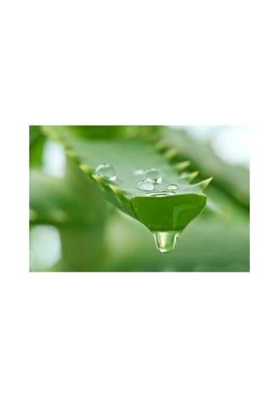 Organik Aloe Vera Jel %99 270 Ml