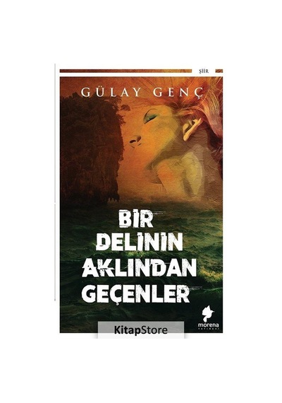 Bir Delinin Aklından Geçenler - Gülay Genç - Morena Yayınevi