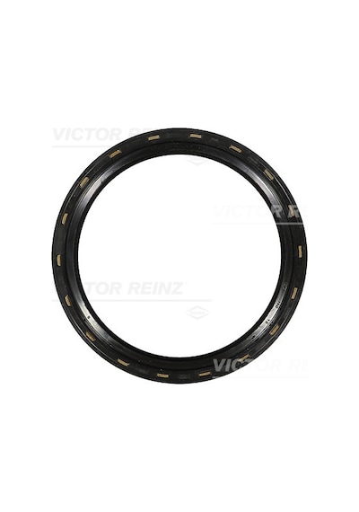 V.REINZ 81-20004-30 Shaft Oıl Seal