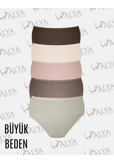 Alya Underwear Kadın Extra Battal Külot - 5 Adet Beyaz 8xl, 9xl, 10xl Çok Renkli P20
