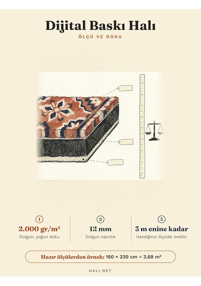 Bespoky Zenith 8901 Modern Düz Salon Halısı
