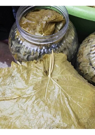 Tokat Sarım Erbaa Salamura Asma Yaprağı 5 KG