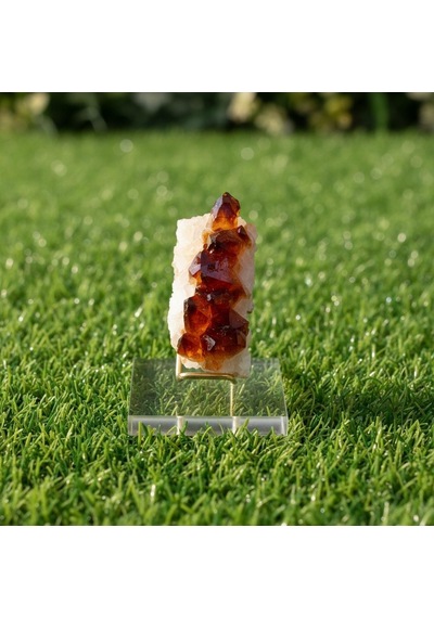 Sitrin Taşı Ham Parça Plexi Stand Dahil