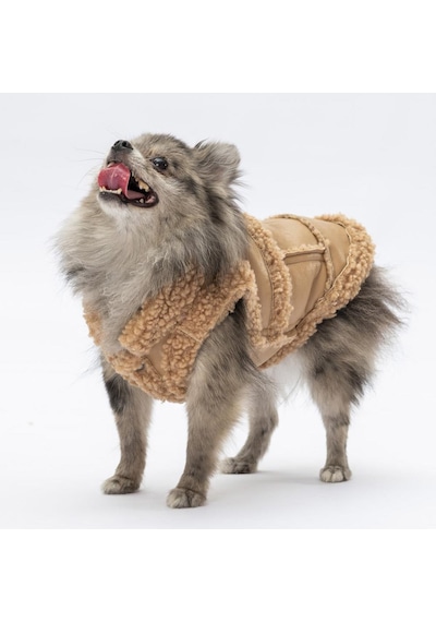 Bej Churchill Yelek Köpek Yeleği Köpek Kıyafeti Köpek Yağmurluk