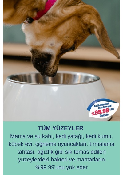 Hijyen Spreyi Pet 5000 Ml