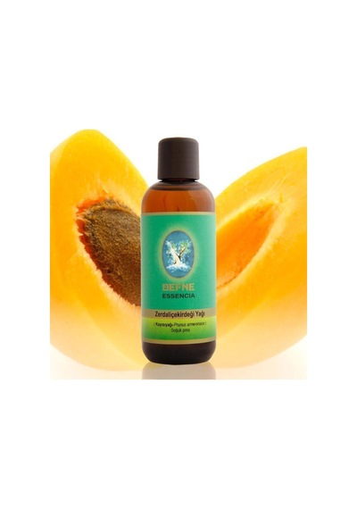 Defne Essencia Soğuk Pres Zerdali Kayısı Çekirdeği Yağı 30 Ml Diğer