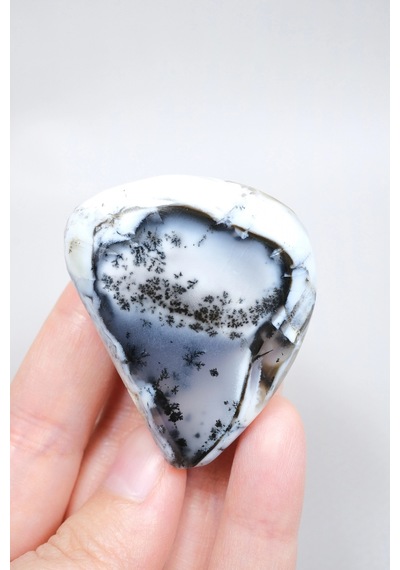 Alkimik Mavi Ve Altın Birleşimi: Cilalı Merlinit Dendritik Opal Numunesi
