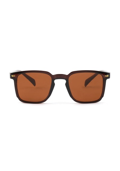 Carmelo Eyewear C01gk016 Kahverengi Kadın Güneş Gözlüğü