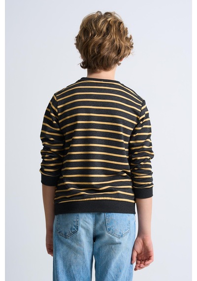 Alexandergardi Alexandergardı Çizgili Bisiklet Yaka Çocuk Sweatshirt Antrasit