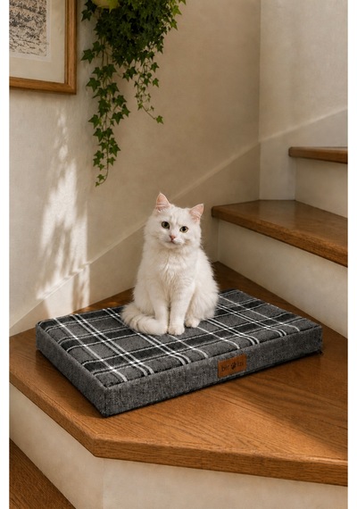Kedi Ve Köpek Yer Minderi Ve Matı Üst Kalite Yıkanabilir Kılıflı Fermuarlı 5 Cm Süngerli Kaydırmaz Taban Kedi Ve Köpek Yatağı Ekose Gri 1616614993 Kedi Ve Köpek Yer Minderi Ve Matı Üst Kalite Yıkanabilir Kılıflı Fermuarlı 5 Cm Süngerli Kaydırmaz Taban Kedi Ve Köpek Yatağı Ekose Gri 1616614993