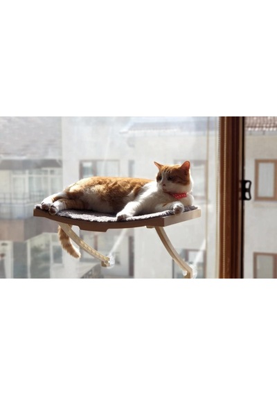 Ayrex Yeni Model Cam Ve Duvar İçin Kedi Yatağı Vantuzlu