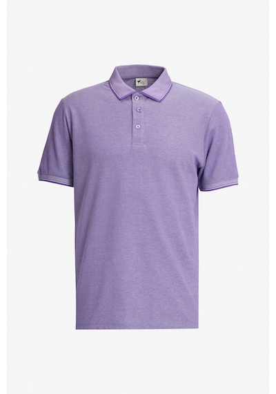 AC&Co / Altınyıldız Classics Erkek Kıremıt-Nar Cıcegı-Mor Çekmeyen Pamuklu Kumaş Slim Fit Dar Kesim 3 'Lü Kıvrılmaz Polo Yaka Tişört Çok Renkli AC&Co / Altınyıldız Classics Erkek Kıremıt-Nar Cıcegı-Mor Çekmeyen Pamuklu Kumaş Slim Fit Dar Kesim 3 'Lü Kıvrılmaz Polo Yaka Tişört Çok Renkli