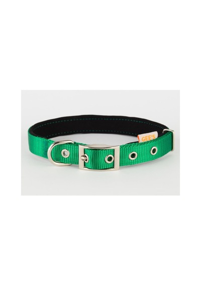 Gees Köpek Boyun Tasması 1,5x28-38 Cm Yeşil