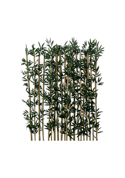 10'lu Bambu 170 Cm Yeşil