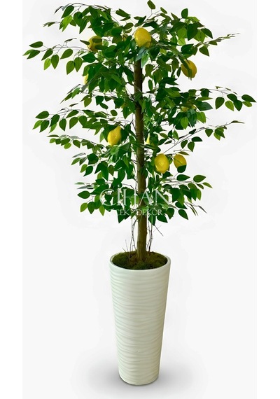 Premium Yapay Limon Ağacı 170 Cm - 8 Limonlu 56x30x20 Kumsal Saksılı Beyaz