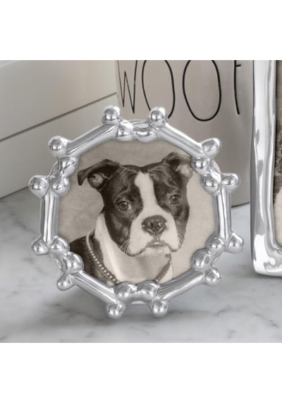 Köpek Kemik Yuvarlak Çerçeve Gümüş 4 X 6