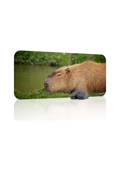 Capybara Kaymaz Dikişli Kauçuk Oyuncu Mousepad V1 - 70x30 Xl Gaming Mouse Pad Fare Altlığı