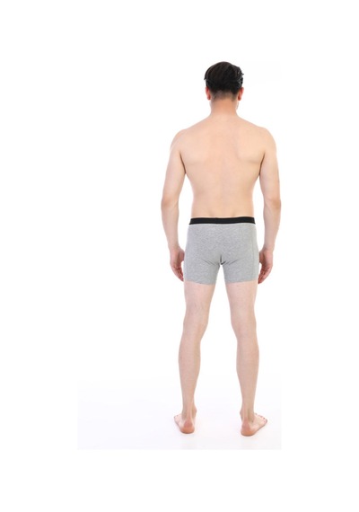 Çift Kaplan Erkek Elastanlı Gri Boxer 889 Gri