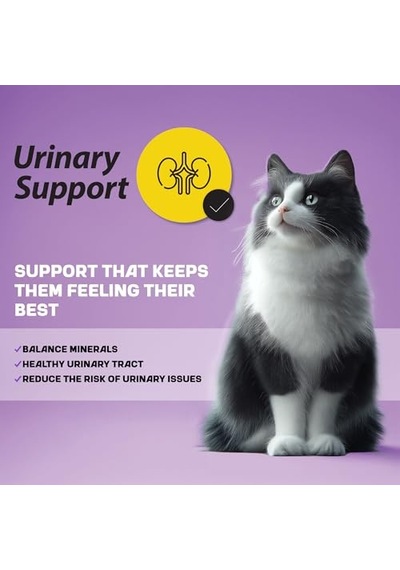 Myfood Urinary Support Gurme Yetişkin Kedi Sı 1,5 Kg 100 G