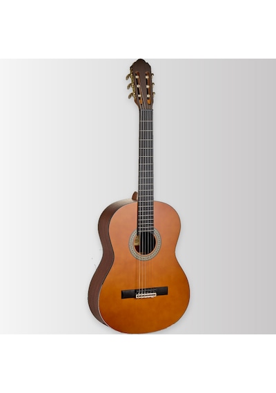 Arrow Calma 4/4 Mat - Classical Guitar 4/4
