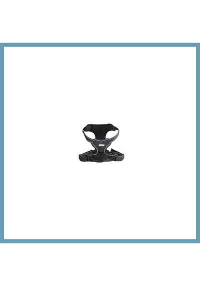 Pawise Easy Walking Köpek Göğüs Tasması Xlarge Mbt06 Çok Renkli