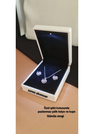 Işıklı Kutusunda Çelik Kolye Ve Küpe Gümüş - Rose Gold