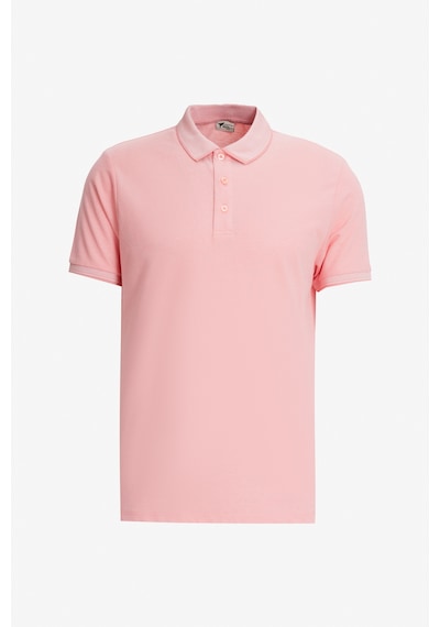 AC&Co / Altınyıldız Classics Erkek Yesıl-Acık Pembe-Saks Çekmeyen Pamuklu Kumaş Slim Fit Dar Kesim 3 'Lü Kıvrılmaz Polo Yaka Tişört Çok Renkli AC&Co / Altınyıldız Classics Erkek Yesıl-Acık Pembe-Saks Çekmeyen Pamuklu Kumaş Slim Fit Dar Kesim 3 'Lü Kıvrılmaz Polo Yaka Tişört Çok Renkli