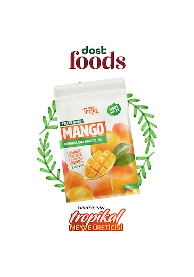 Dondurularak Kurutulmuş Mango 20 G Freeze Dried Meyve Cipsi Çıtır Meyve Kurusu 2 Adet