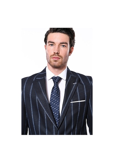 Wessi Çizgili Lacivert Slim Fit Ceket Siyah