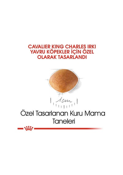 Royal Canin  Cavalier King Charles Junior Yavru Köpek Maması 1,5 Kg