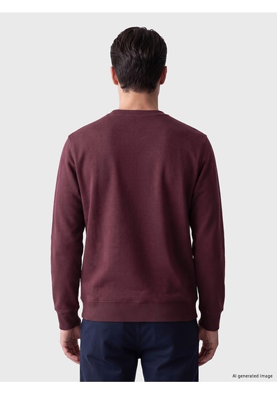 Lcwaıkıkı Classic Mürdüm Baskılı Erkek Kalın Sweatshirt