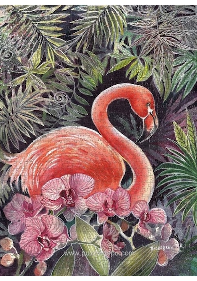 Nova 41097 Flamingo Puzzle - 1000 Parça - Tatiana Plovetskaya