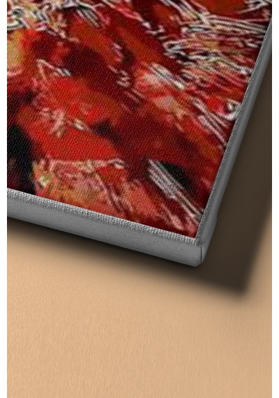 Webstyle Sayılarla Boyama Seti Çerçeveli Kasnaklı Kırmızılı Kadın 50 X 65 Cm