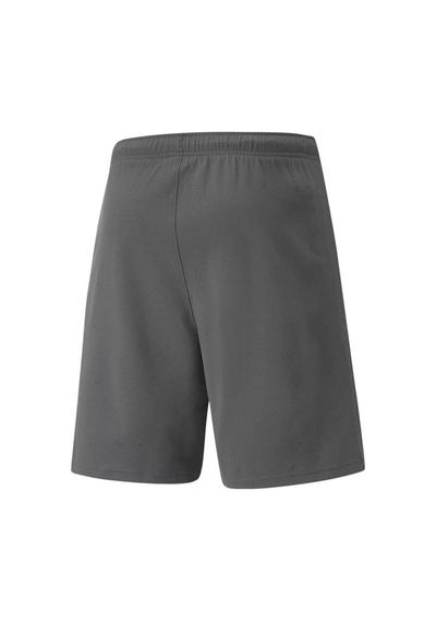 Puma Teamrise Short Erkek Şortu 70494213 Gri