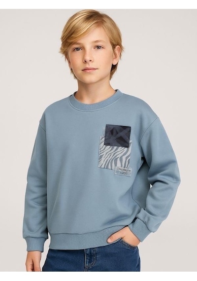 Zekids Erkek Çocuk Desenli Sweatshirt-16145 Gri