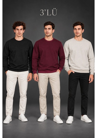 Erkek 3'lü Bisiklet Yaka İçi Şardonlu 2 İplik Düz Uzun Kollu Regular Fit Sweatshirt - Siyah - Bordo - Gri Çok Renkli