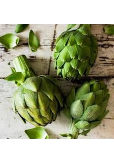 5 Adet Tohum Organik Hobi Bahçe Enginar Tohumu Yeni Hasat Tohum