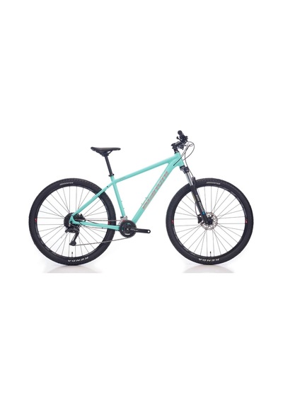 Bianchi Magma 29s Cues 2x9 Vites 48cm 29 Jant Parlak Celeste Parlak Gümüş Mtb Dağ Bisikleti Yeşil