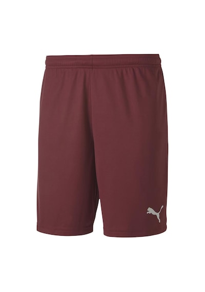 Puma Teamgoal 23 Knit Shorts Erkek Futbol Maç Şortu 70426209 Kırm