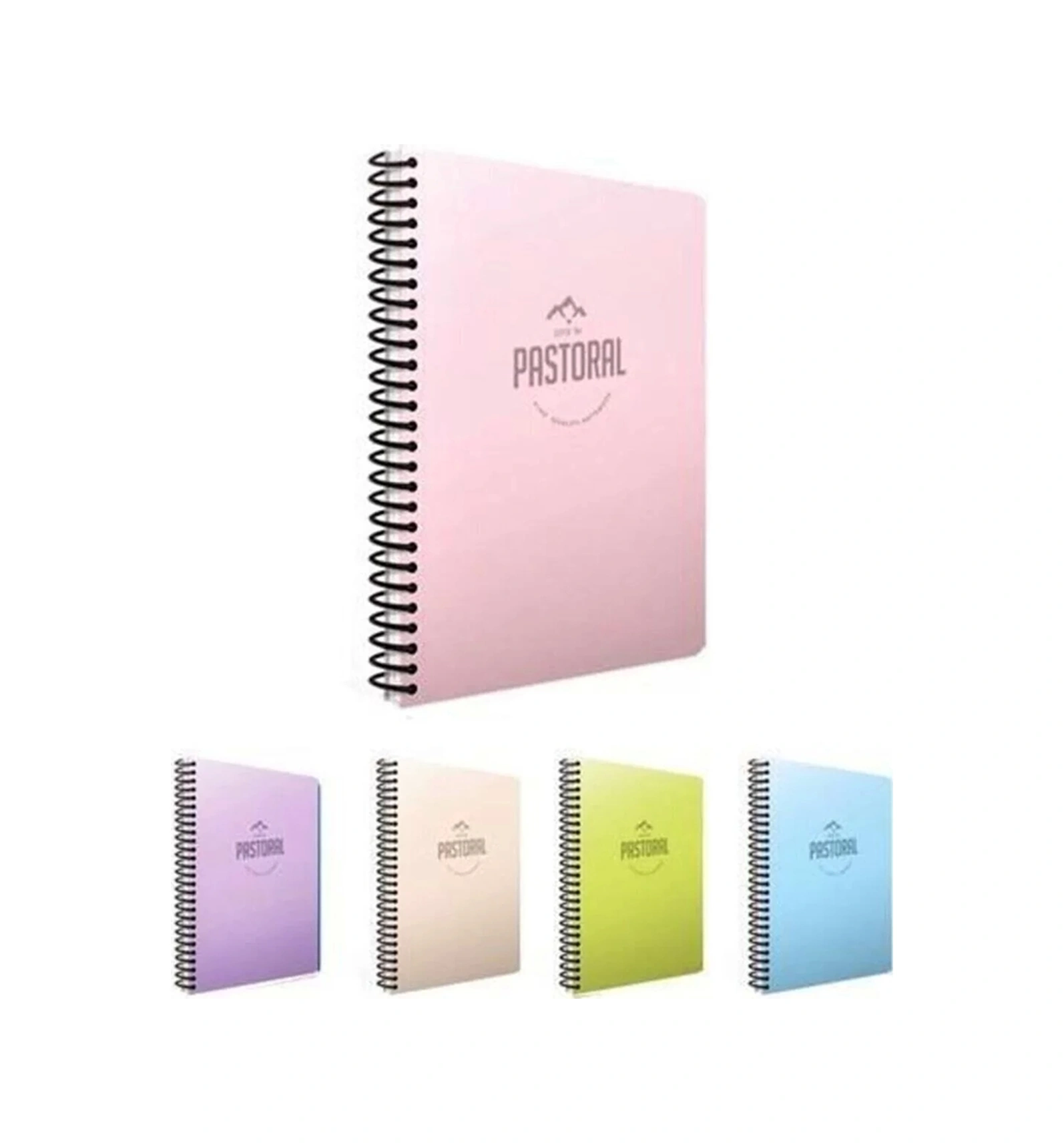Pastoral Spiral Pp Kapak Defter A6 80 Yaprak Kareli Stand Çok Renkli