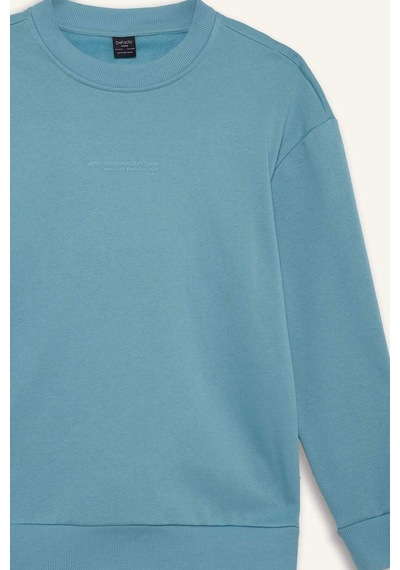Defacto Boxy Fit Bisiklet Yaka Baskılı Sweatshirt X8282az25augn203 Yeşil Defacto Boxy Fit Bisiklet Yaka Baskılı Sweatshirt X8282az25augn203 Yeşil