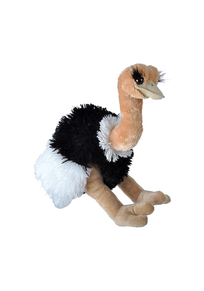 Wild Republic Deve Kuşu 30 Cm 12251 Çok Renkli